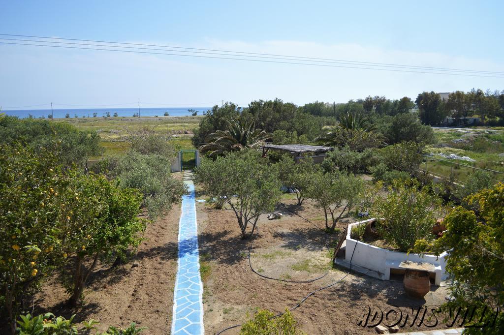 Adonis Villa Koutsounari Exterior photo